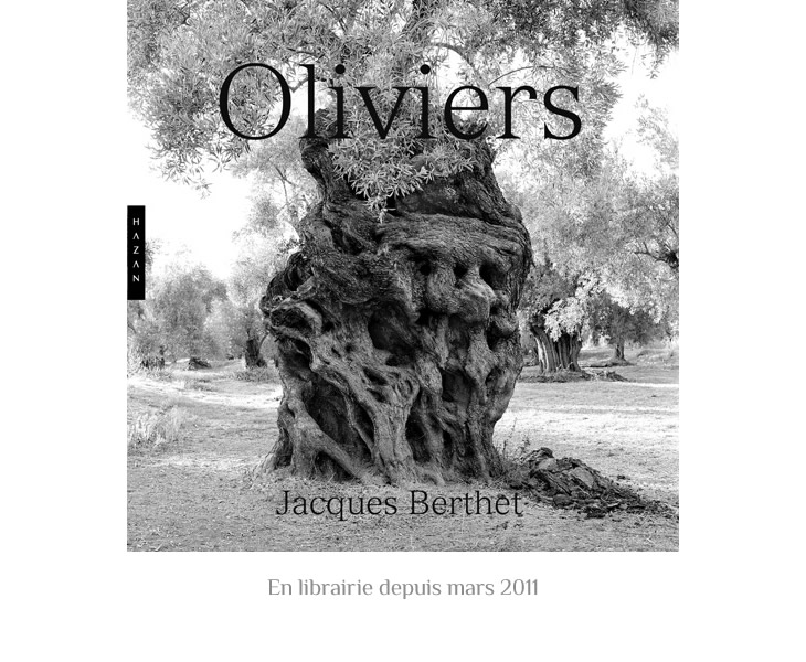 home-oliviers